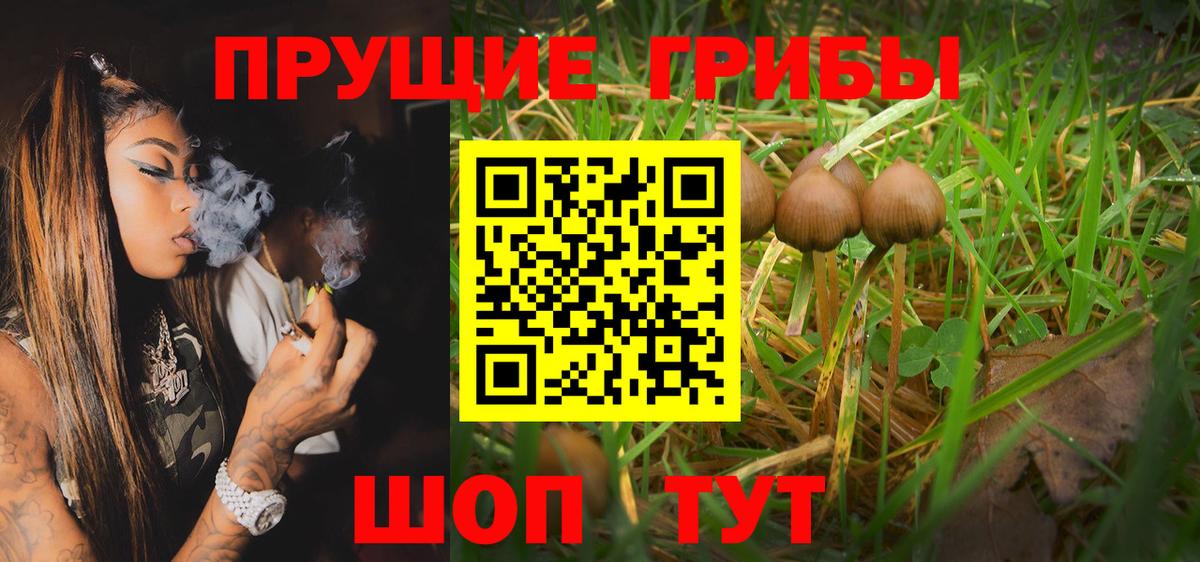Соликамск  Псилоцибиновые грибы ЛСД  Псилоцибиновые грибы Psilocybe  Вход с VPN 